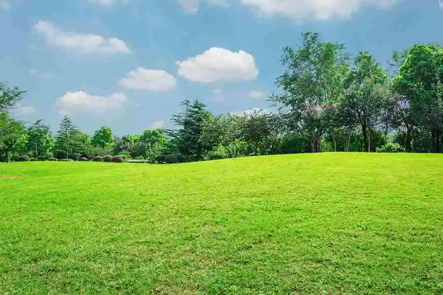 You are currently viewing DISCOVER THE PERFECT LAND TO INVEST IN