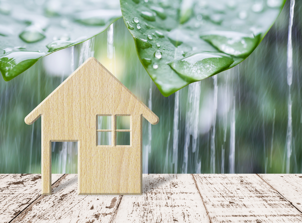 Read more about the article BUYING PROPERTY IN RAINY SEASON